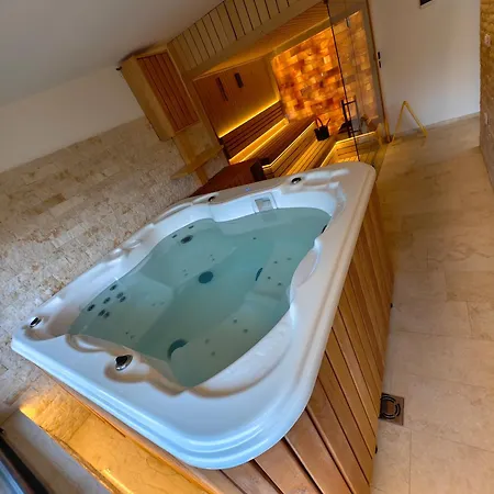 Mountain House Popovic Tara Alpstuga Bajina Basta