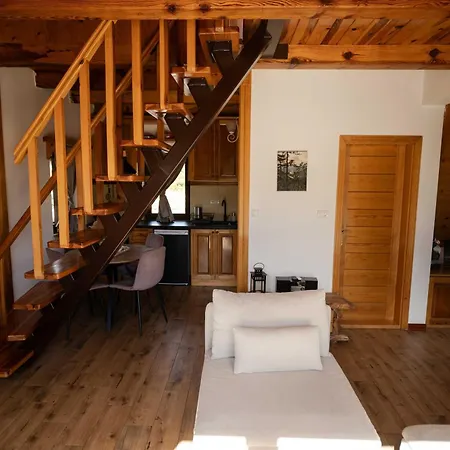 Mountain House Popovic Tara