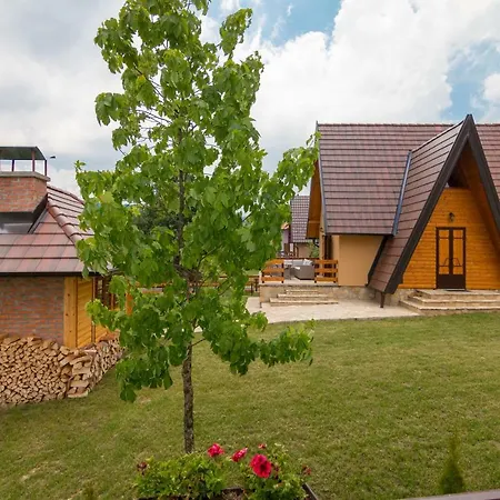 Mountain House Popovic Tara * Bajina Basta