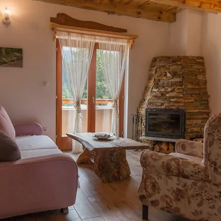 Chalet Mountain House Popovic Tara *