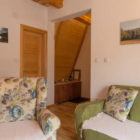 Mountain House Popovic Tara Chalet