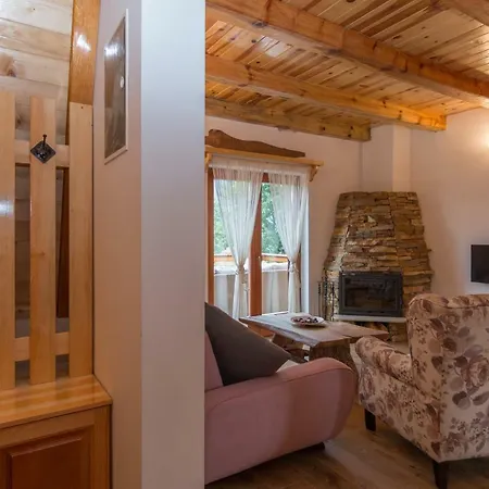 Chalet Mountain House Popovic Tara
