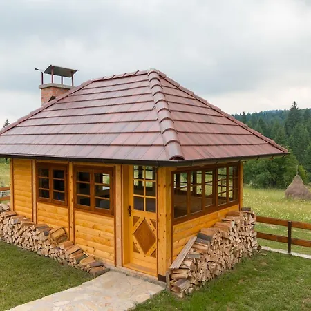 Mountain House Popovic Tara * Bajina Basta