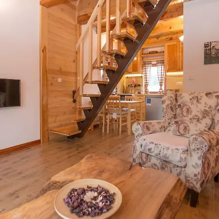 Chalet Mountain House Popovic Tara Bajina Basta