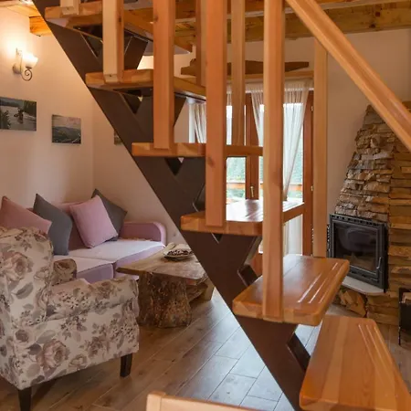 Mountain House Popovic Tara Chalet *