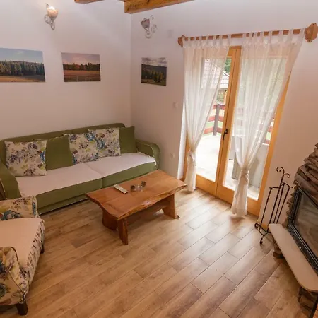 Mountain House Popovic Tara Chalet