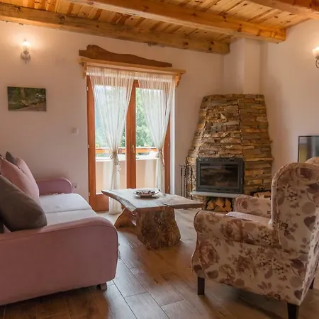Chalet Mountain House Popovic Tara *