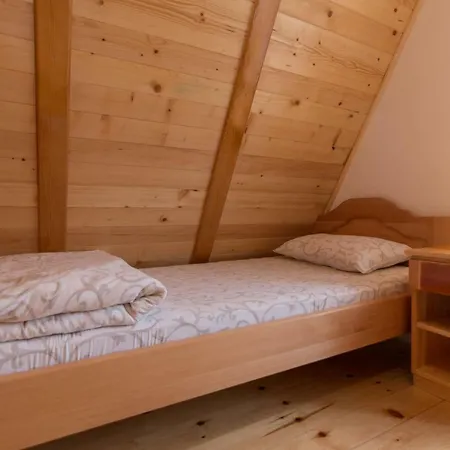 Mountain House Popovic Tara Chalet Bajina Basta