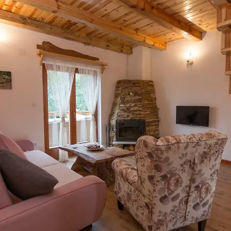 Chalet Mountain House Popovic Tara