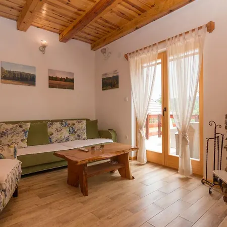 Mountain House Popovic Tara Bajina Basta