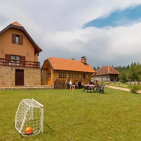 Mountain House Popovic Tara Chalet Bajina Basta